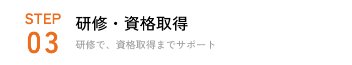 STEP03